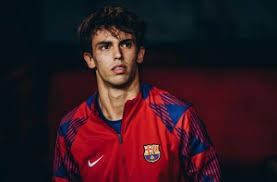 贝林女友出现在高端应召网站？摄影师辟谣：假的，图是偷我的